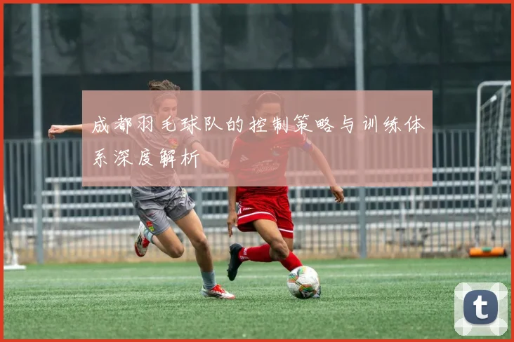 成都羽毛球队的控制策略与训练体系深度解析